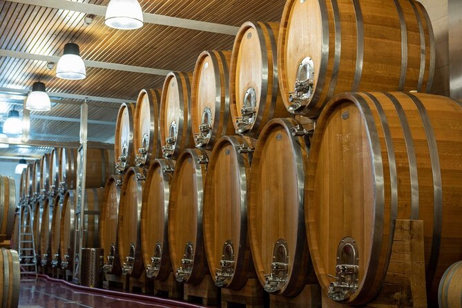 A delightful wine tasting in the scenic countryside with lunch - Authentic Czech Lunch at a Cozy Winery Restaurant