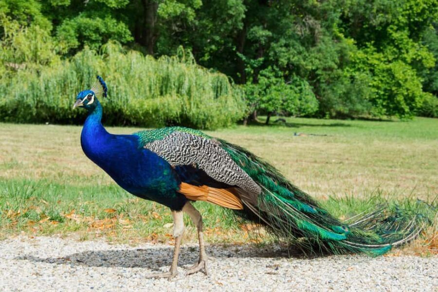 A gourmet visit to Château Citran - The Guided Tour of Château Citran’s Historic Estate