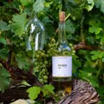 A One-Day Culinary Journey from Yerevan - Cheese Tasting at Mikaelyan Farm