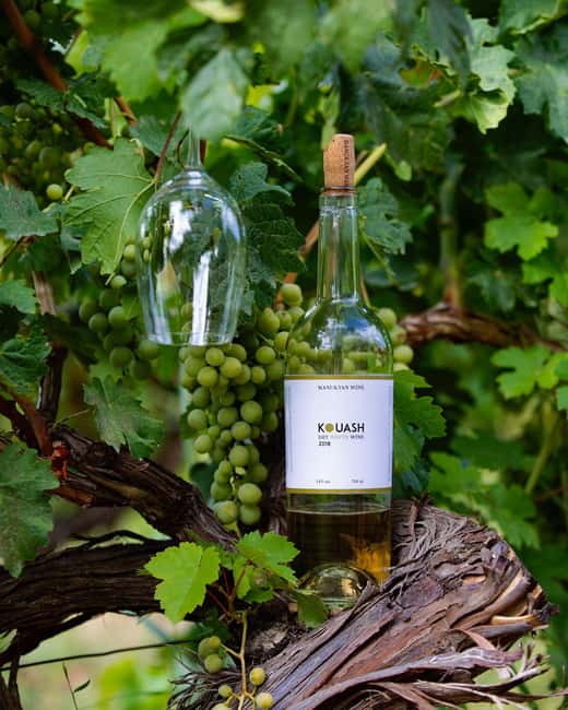 A One-Day Culinary Journey from Yerevan - Cheese Tasting at Mikaelyan Farm