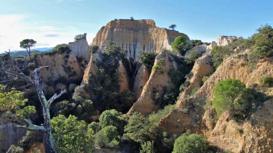 A sensory walk at Les Orgues, between nature and landscape - Listening to Nature: Birdsongs and Soundscapes