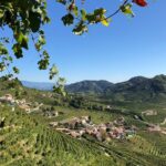A Sparkling Day in the Prosecco Hills from Venice by Yellowboot - Exploring the Scenic Vineyards of Valdobbiadene