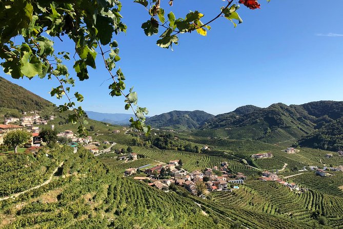 A Sparkling Day in the Prosecco Hills from Venice by Yellowboot - Exploring the Scenic Vineyards of Valdobbiadene