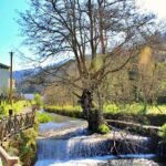 A tour between Cascades and Schist Villages, Piodão - Riverside Relaxation at Praia Fluvial do Caneiro de Coja