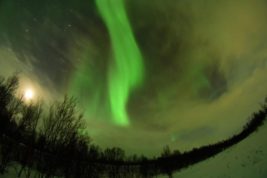 Abisko: Aurora Chasing with Snowmobiles - What the Snowmobile Aurora Chase Looks Like