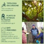 Abruzzo L'Aquila: e-bike tour in the shade of centuries-old oak trees - The World of Bees and the Special Snack Break