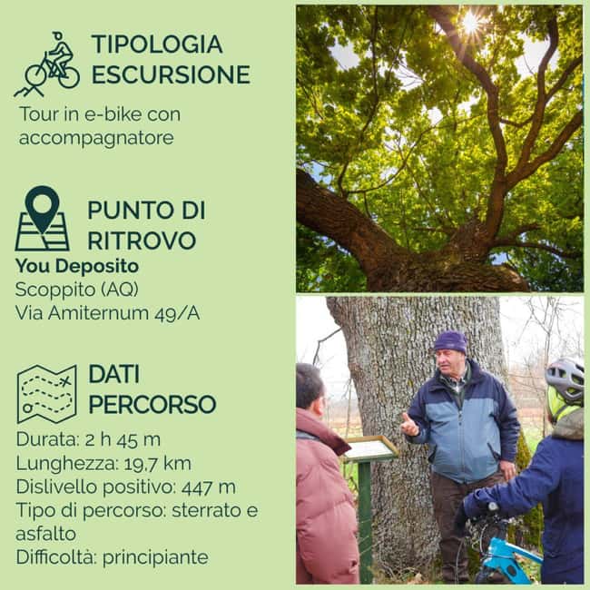 Abruzzo L'Aquila: e-bike tour in the shade of centuries-old oak trees - The World of Bees and the Special Snack Break