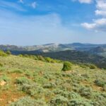 Adarre: Trek to the wild heart of the Supramonte - Meeting Point and Logistics at Orgosolo