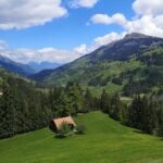 Adelboden: Countryside and Alpine Sightseeing Tour - Visiting the Engstligen Waterfalls: Switzerland’s Spectacular Cascades