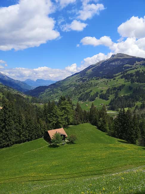 Adelboden: Countryside and Alpine Sightseeing Tour - Visiting the Engstligen Waterfalls: Switzerland’s Spectacular Cascades