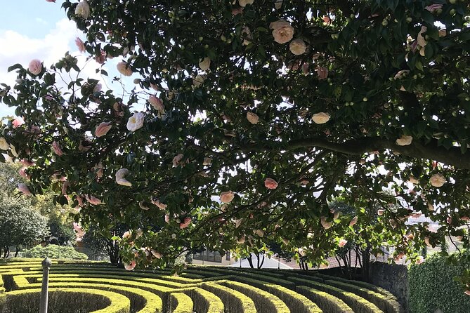 Admission Ticket to Casa São Roque Art Center - What’s Included in the Ticket