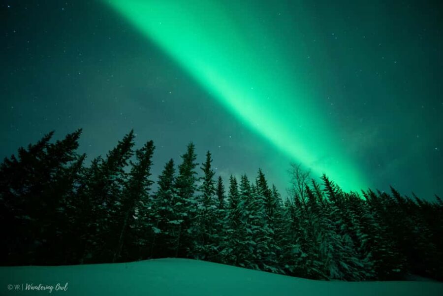 Adults Only Northern Lights Hunt in the Finnish Wilderness - The Search for the Aurora in Levi’s Wilderness
