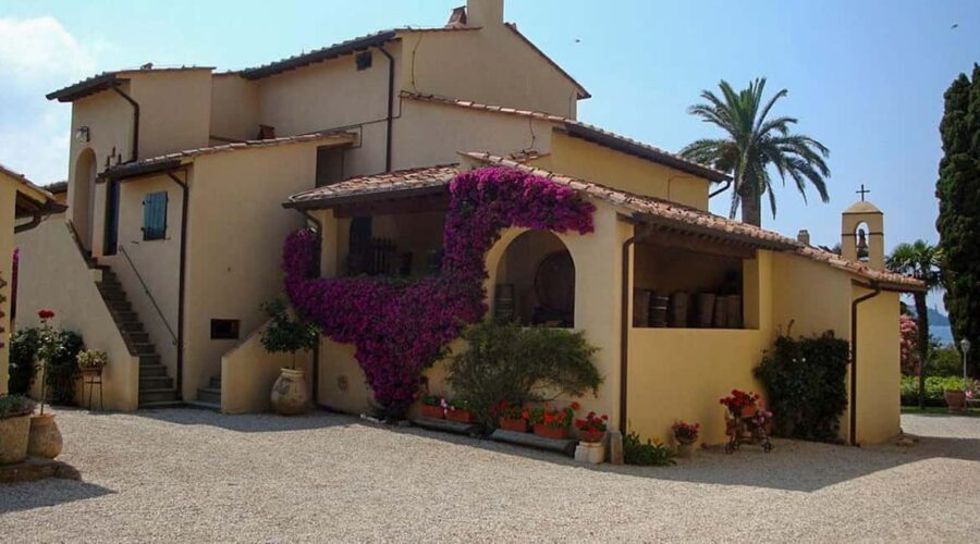 Adventurous Bike Tour to Tenuta la Chiusa with Tasting - Crossing Monte Orello on a Guided Trail