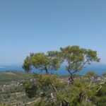 Aegina Island St Nektarios & Temple of Athina Aphaia Private Tour - Convenient Pickup and Private Transport to Piraeus