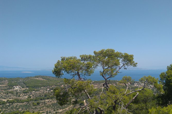 Aegina Island St Nektarios & Temple of Athina Aphaia Private Tour - Convenient Pickup and Private Transport to Piraeus