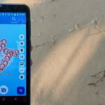 Aegna Island: Self-Guided Discovery Tour - The Flexibility of No Fixed Starting Point