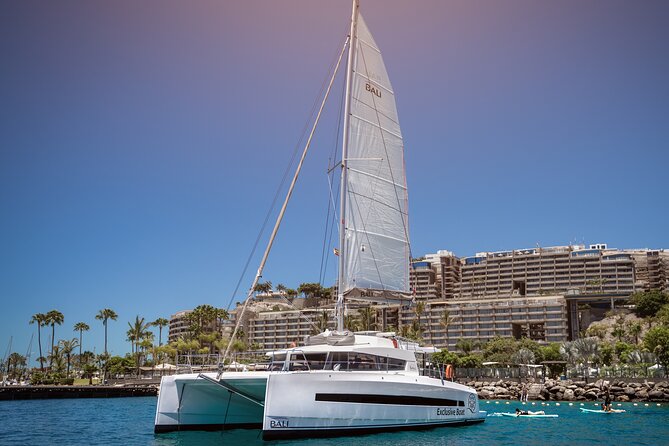 Afternoon Catamaran Trip in Gran Canaria - Discover the Afternoon Catamaran Trip in Gran Canaria