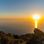 Afternoon excursion: best beaches & coves with Paddlesurf - Mallorca’s Best Beaches and Coves with Paddlesurf: An Overview