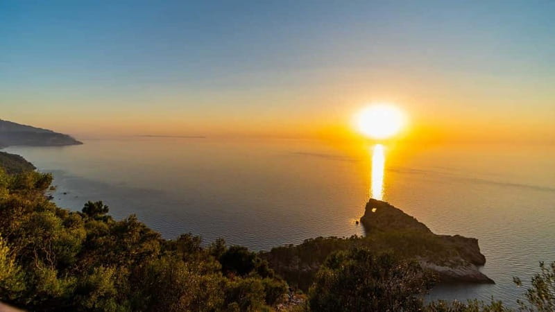 Afternoon excursion: best beaches & coves with Paddlesurf - Mallorca’s Best Beaches and Coves with Paddlesurf: An Overview