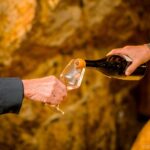 Afternoon Loire Valley Wine Tour from Tours or Amboise - Sampling the Diverse Wines of Touraine’s Vineyards