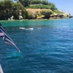 Agia Pelagia: Snorkeling Tour - What Makes the Agia Pelagia Snorkeling Tour Stand Out