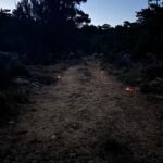 Agios Nikolaos: Evening Forest Yoga and Hiking Experience - How the Itinerary Unfolds