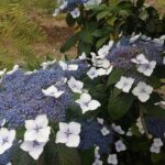 Agriculture Green Tour - Starts at 9:00 am with door-to-door pickup