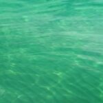 Agrigento: Stair of the Turks Cliffs Boat Tour & Swim Stops - Starting Point and Tour Logistics in Agrigento