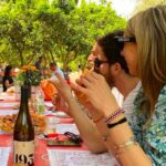 Agrigento: Valley of the Temples Gardens Picnic Experience - Meeting Point and Practical Details