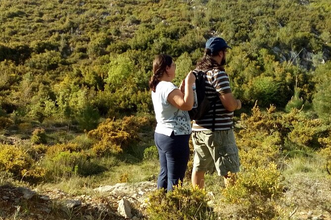 Aire & Candeeiros: Nature, Fossils and Forgotten Traditions - The Dinosaur Footprints and Fossil Sites That Amaze