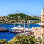 Airport Transfer: Bodrum Airport BJV to Bodrum by Luxury Van - Flexible Waiting Time for Flight Delays