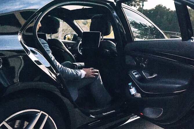 Airport Transfer: Hamburg Airport HAM to Hamburg by Business Car - Meet and Greet at Hamburg Airport for a Stress-Free Arrival