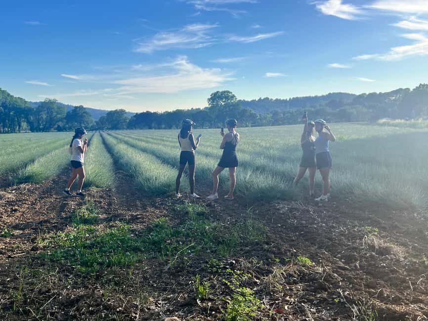 Aix-en-Provence: E-Bike Tour of Mount Sainte-Victoire - From the Meeting Point to Sainte-Victoire Mountain