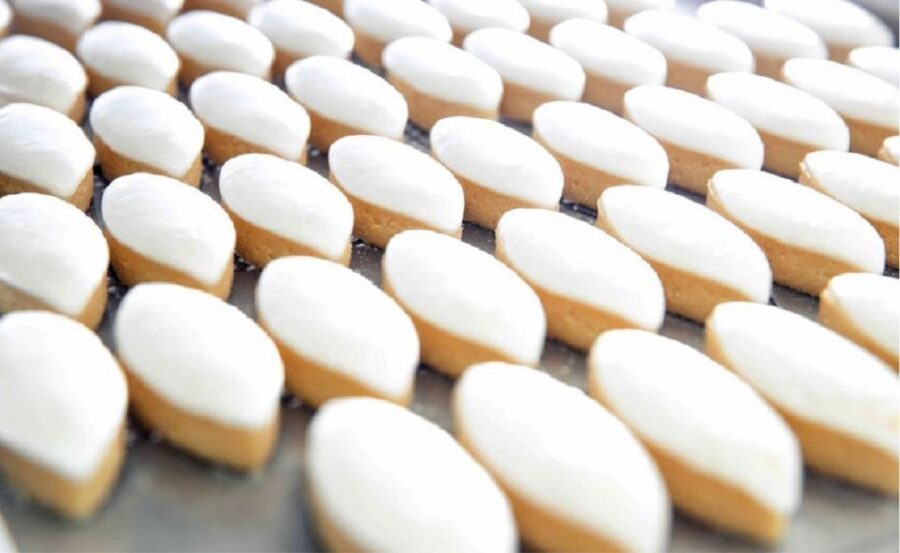 Aix-en-Provence: Food Tour - Starting at Fontaine de la Rotonde: The Meeting Point and First Impressions