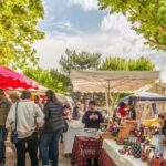 Aix-en-Provence: Nature Tour by Electric Bike - Meeting Point at La Roque d’Anthéron’s Bees Station