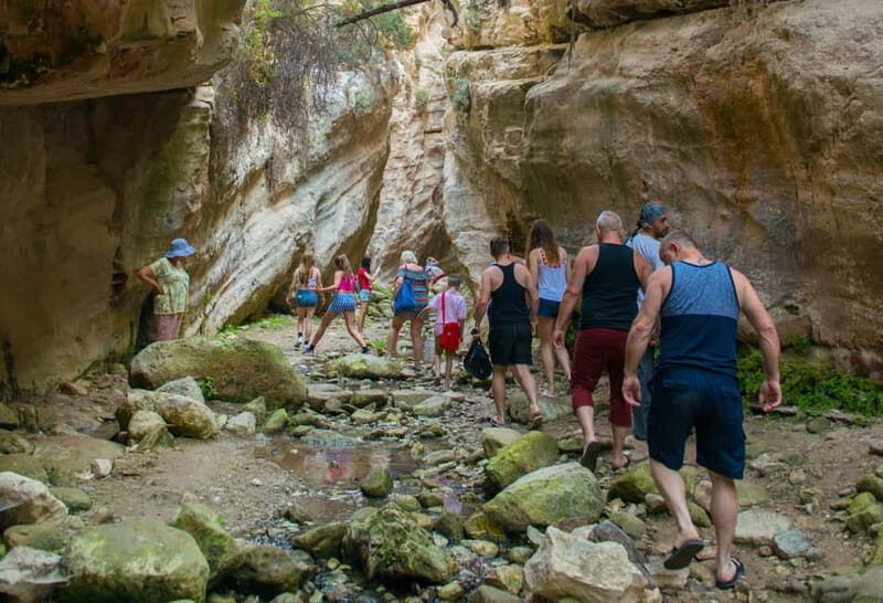 Akamas Jeep Safari Tour from Paphos - Journey into Cyprus’s Last Coastal Wilderness