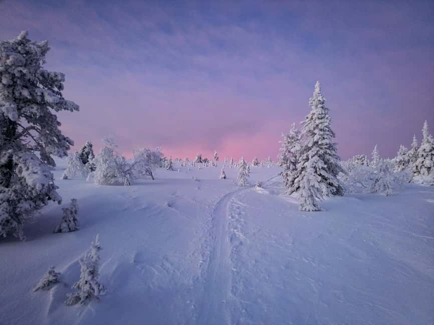 Äkäslompolo: Snowshoeing Adventure in Lapland - Logistics: Pickup, Duration, and Flexibility