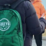 Akureyri: Food Walk and Whale Watching Tour - Whale Watching in Eyjafjörður: Comfortable Marine Wildlife Viewing