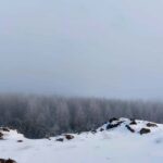 Akureyri: Snowshoeing with The Traveling Viking - Exploring Kjarnaskógur and Nearby Forests