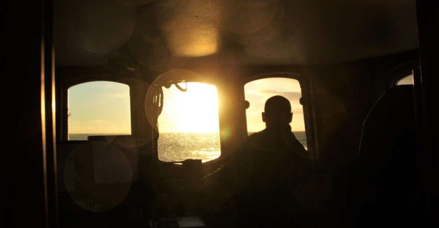 Akureyri: Whale Watching in the Midnight Sun - The Experience of Whale Watching in the Midnight Sun