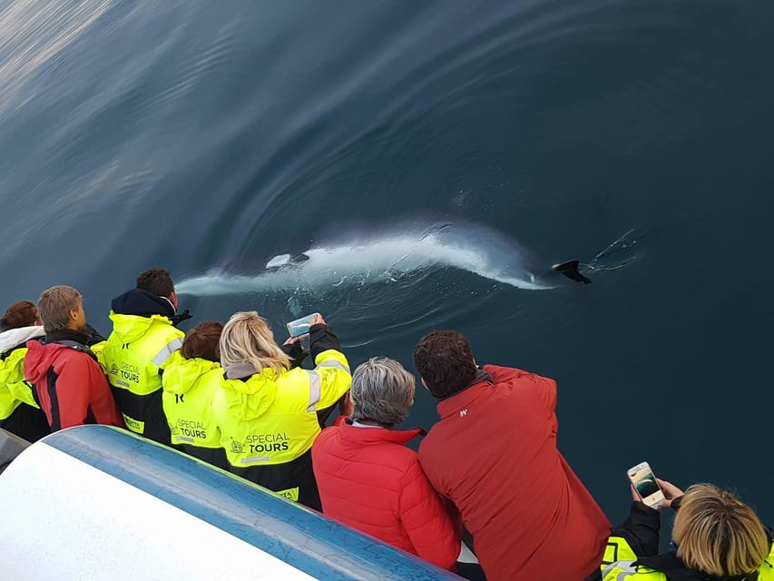Akureyri: Whale Watching Tour & Forest Lagoon Entrance - Starting Point at Oddeyrarbót 1 in Akureyri