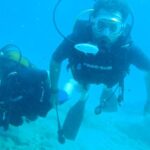 Alanya: 2 Guided Scuba Dives with Lunch and Hotel Transfers - Exploring Underwater Life in Alanya Harbor