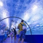 Alanya: Aquarium, Wax Museum, Snow World, Wild Park, XD Cinema - Exploring the FACE2FACE Wax Museum in Alanya