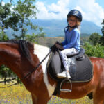 Alanya: Horse Riding Club Transfer Service - From Hotel Pickup to Seki Village: Seamless Transportation
