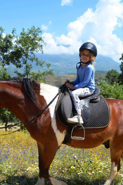 Alanya: Horse Riding Club Transfer Service - From Hotel Pickup to Seki Village: Seamless Transportation