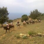 Alanya Horse Riding Experience - Riding in Lush Pine Forests and Mountain Vistas
