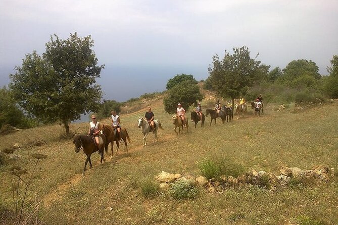 Alanya Horse Riding Experience - Riding in Lush Pine Forests and Mountain Vistas