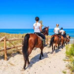 Alanya: Horse Riding Tour with Hotel Transfers - Discover the Scenic Beauty of Alanya’s Countryside on Horseback