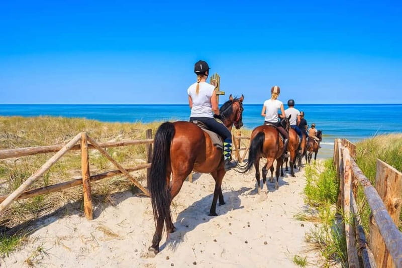Alanya: Horse Riding Tour with Hotel Transfers - Discover the Scenic Beauty of Alanya’s Countryside on Horseback
