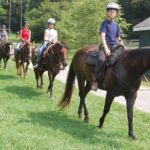 Alanya Horseback Riding in the Taurus Mountains with Transfer - Meeting Point and Transportation Logistics
